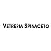 Logo Vetreria Spinaceto Di La Riccia Alessandro & C. Snc