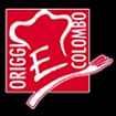 Logo Origgi E Colombo Srl