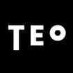 Logo Teo Srl Semplificata