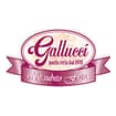 Logo Gallucci Sandro & C. Snc