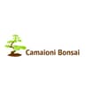 Logo Onoranze Funebri Camaioni Di Camaioni Pasqualino & C. S.n.c.