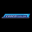 Logo Essegicolor Srl