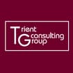 Logo Trient Consulting Group Srl