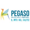 Logo Pegaso Srl