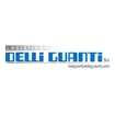 Logo Trasporti Delli Guanti & Logistica Srl