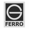 Logo Ferro Galliani Srl