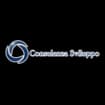 Logo Consulenza Sviluppo Srl