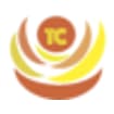 Logo Tekno Condotte Srl