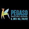 Logo Pegaso Srl