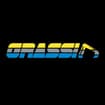 Logo Impresa Grassi Srl