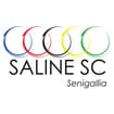 Logo Saline Sc Senigallia - Società Sportiva Dilettantistica Srl