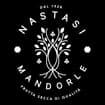 Logo Lorenzo Nastasi & C. Srl