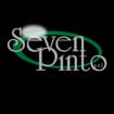 Logo Seven Pintosrl