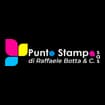 Logo Punto Stampa S.a.s. Di Botta Raffaele & C.