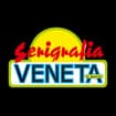 Logo Serigrafia Veneta S.n.c. Di Paola Damoli