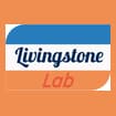Logo Livingstone Graphics Snc Di Silvana Della Rossa & C.