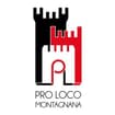 Logo Comune Di Montagnana - Ufficio Per La Transizione Al Digitale