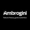 Logo Ambrogini Srl
