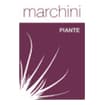 Logo Marchini Piante Srl