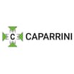 Logo Officina Meccanica Caparrini Srl