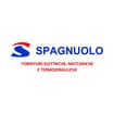 Logo Spagnuolo Srl