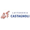 Logo Lattoneria Castagnoli S.a.s. Di Castagnoli Laura & C.