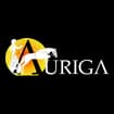 Logo Auriga Tours Srl