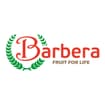 Logo Barbera International Srl
