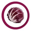 Logo Aya Agricoltura Srl Società Agricola