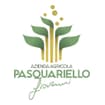 Logo Pasquariello Giovanni