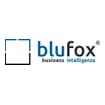 Logo Blu Fox Srl