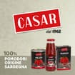 Logo Casar Srl