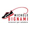 Logo Bignami Michele