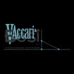 Logo Vaccari E Bosi Srl