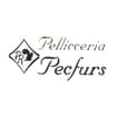 Logo Pecfurs Srl