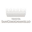 Logo Immobiliare Agricola S. Gemignanello Spa