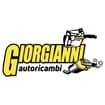 Logo Giorgianni Autoricambi S.n.c. Di Giorgianni Giovanni E C.