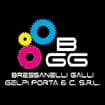 Logo Bressanelli Galli Gelpi Porta & C. Srl