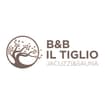 Logo Il Tiglio Srl