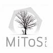 Logo Mitos Srl
