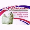 Logo Vigi Marilena