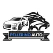 Logo Pellerino Auto Di Pellerino Roberto
