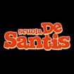 Logo Scuola De Santis Srl