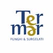 Logo Stm Surgelati Srl