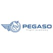 Logo Pegaso Flight Academy Società Sportiva Dilettantistica A Responsabilita' Limitata