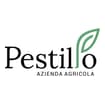 Logo Pestillo Elena Anna Maria