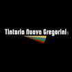 Logo Tintoria Nuova Gregorini Srl