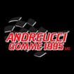 Logo Andreucci Gomme 1995 Srl