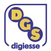 Logo Digiesse Srl