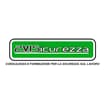 Logo 2Visicurezza Srl